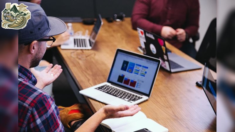 Caia và Sự Tăng Trưởng Trong Thiết Kế Web