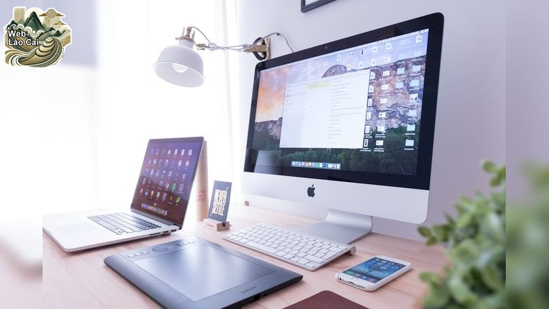 Conex và tầm quan trọng của thiết kế website